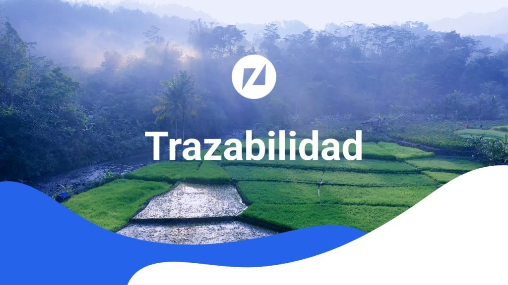 Blockchain-y-la-trazabilidad-en-la-industria-farmaceutica