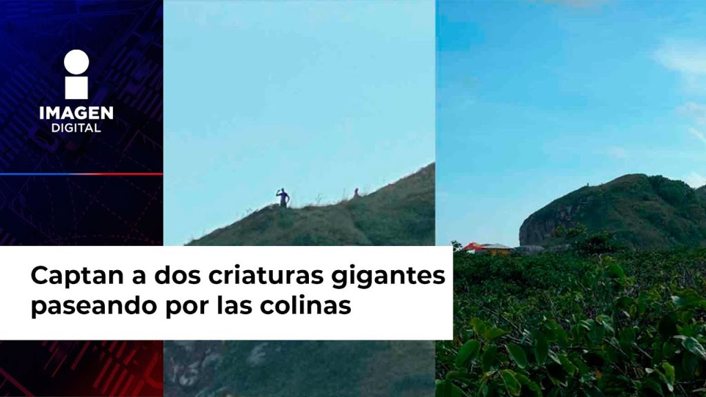 La-Estrecha-Relacion-entre-Ovnis-y-Avistamientos-de-Criaturas-Extranas - Quo La-Estrecha-Relacion-entre-Ovnis-y-Avistamientos-de-Criaturas-Extranas