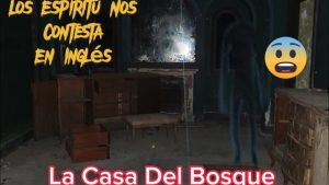 Sombras-en-la-Oscuridad-Explorando-Fenomenos-Paranormales