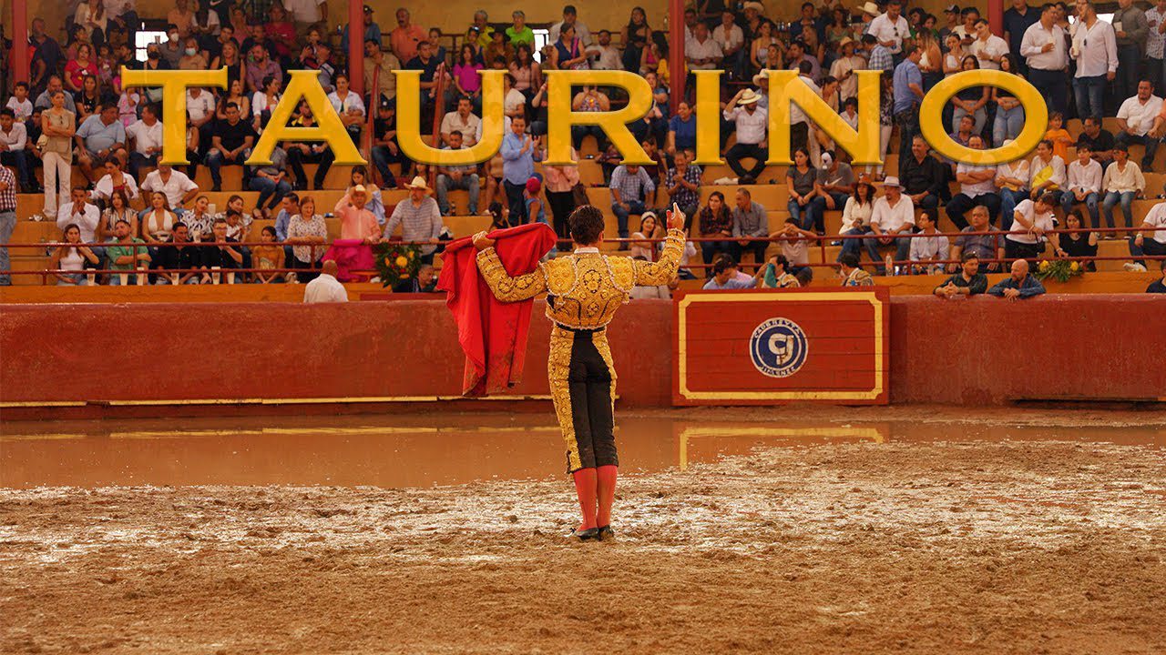 Historia de la Tauromaquia: Desde las Plazas Antiguas a las Corridas ...