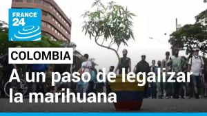 La-Legalizacion-de-la-Marihuana-Cambios-en-las-Politicas-de-Drogas