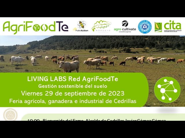Inteligencia-Artificial-en-la-Agricultura-Soluciones-para-la-Produccion-Sostenible - Quo Inteligencia-Artificial-en-la-Agricultura-Soluciones-para-la-Produccion-Sostenible