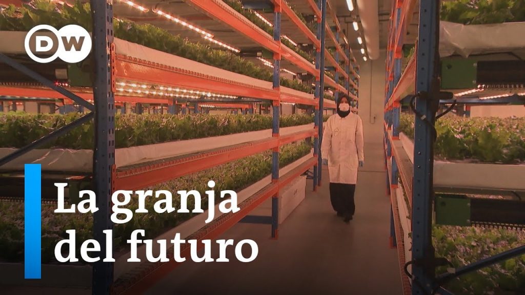 La-Revolucion-de-la-Agricultura-Vertical-Cultivo-de-Alimentos-en-Entornos-Urbanos - Quo La-Revolucion-de-la-Agricultura-Vertical-Cultivo-de-Alimentos-en-Entornos-Urbanos