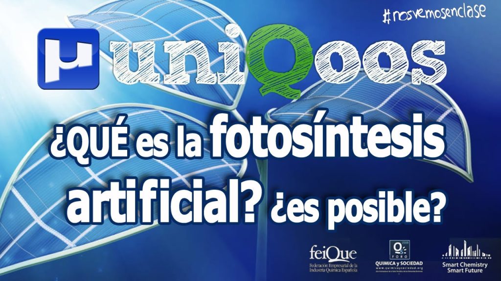 Curiosidades-sobre-la-fotosintesis-artificial - Quo Curiosidades sobre la fotosíntesis artificial