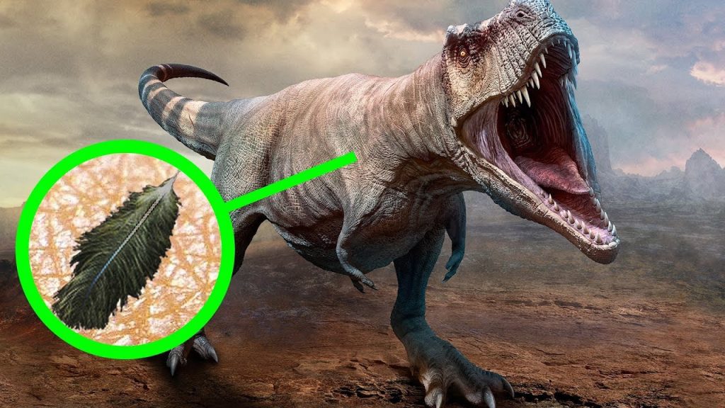 Curiosidades-sobre-la-paleontologia - Quo Curiosidades sobre la paleontología