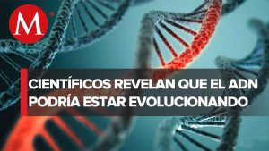 Los avances más recientes en genética molecular