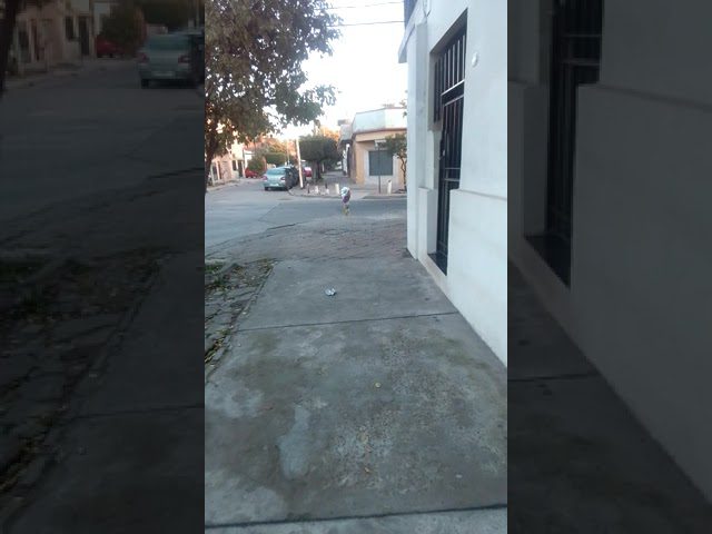 Fenomenos-paranormales-en-Ciutadella-de-Menorca - Quo Fenómenos paranormales en Ciutadella de Menorca