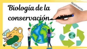 Los avances más recientes en biología de la conservación