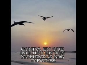 Amanecer Social: Luces de Esperanza en Medio de Desafíos