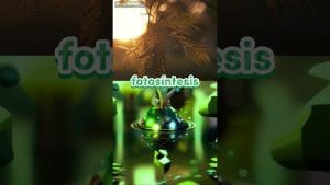 Curiosidades sobre la teoría de la información cuántica en biología
