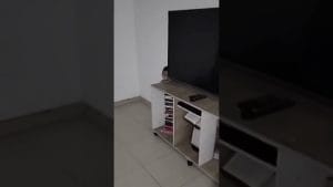 Fenómenos paranormales en 	Barberà del Vallès