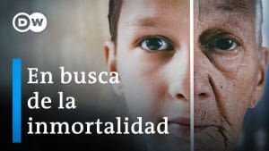 Los descubrimientos más recientes en biología del envejecimiento