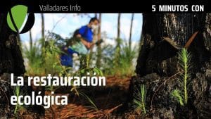 Los descubrimientos más recientes en ecología de la restauración