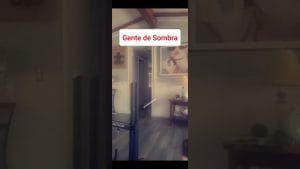 cómo avanza la investigación en Qué simbolizan las sombras que se mueven solas