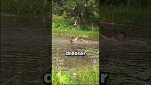 Fenómenos paranormales en 	Nou de Berguedà