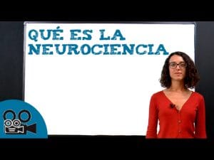 cómo conocer la historia de Últimas tendencias en neurociencia