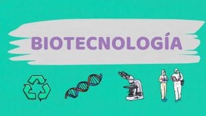 qué debes saber sobre Cómo funciona la biotecnología en la agricultura