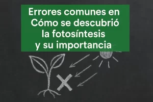 errores comunes en Cómo se descubrió la fotosíntesis y su importancia